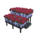 Live Goods Merchandising